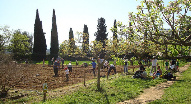 Fotografia de l'activitat VOLS TREBALLAR UN HORT A CAN DEU? Fotografia de l'activitat VOLS TREBALLAR UN HORT A CAN DEU?