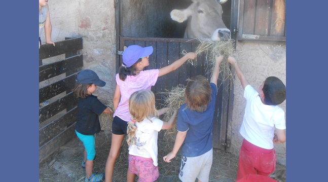 Fotografia de l'activitat CONEGUEM ELS ANIMALS DE LA GRANJA. VISITA GUIADA Fotografia de l'activitat CONEGUEM ELS ANIMALS DE LA GRANJA. VISITA GUIADA