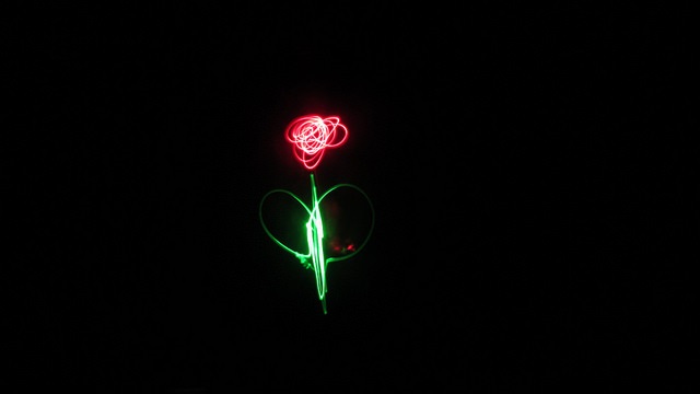 Fotografia de l'activitat CONSTRUEIX LA TEVA ROSA ELECTRÒNICA PER SANT JORDI! TALLER Fotografia de l'activitat CONSTRUEIX LA TEVA ROSA ELECTRÒNICA PER SANT JORDI! TALLER