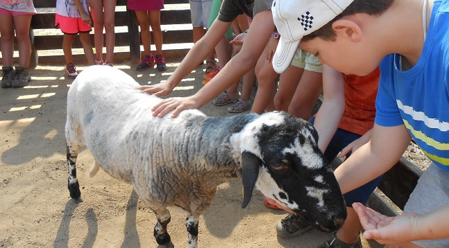 Fotografia de l'activitat DIUMENGE A LA GRANJA EN FAMÍLIA. VISITA GUIADA Fotografia de l'activitat DIUMENGE A LA GRANJA EN FAMÍLIA. VISITA GUIADA
