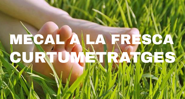 Fotografia de l'activitat MECAL A LA FRESCA. CURTMETRATGES Fotografia de l'activitat MECAL A LA FRESCA. CURTMETRATGES