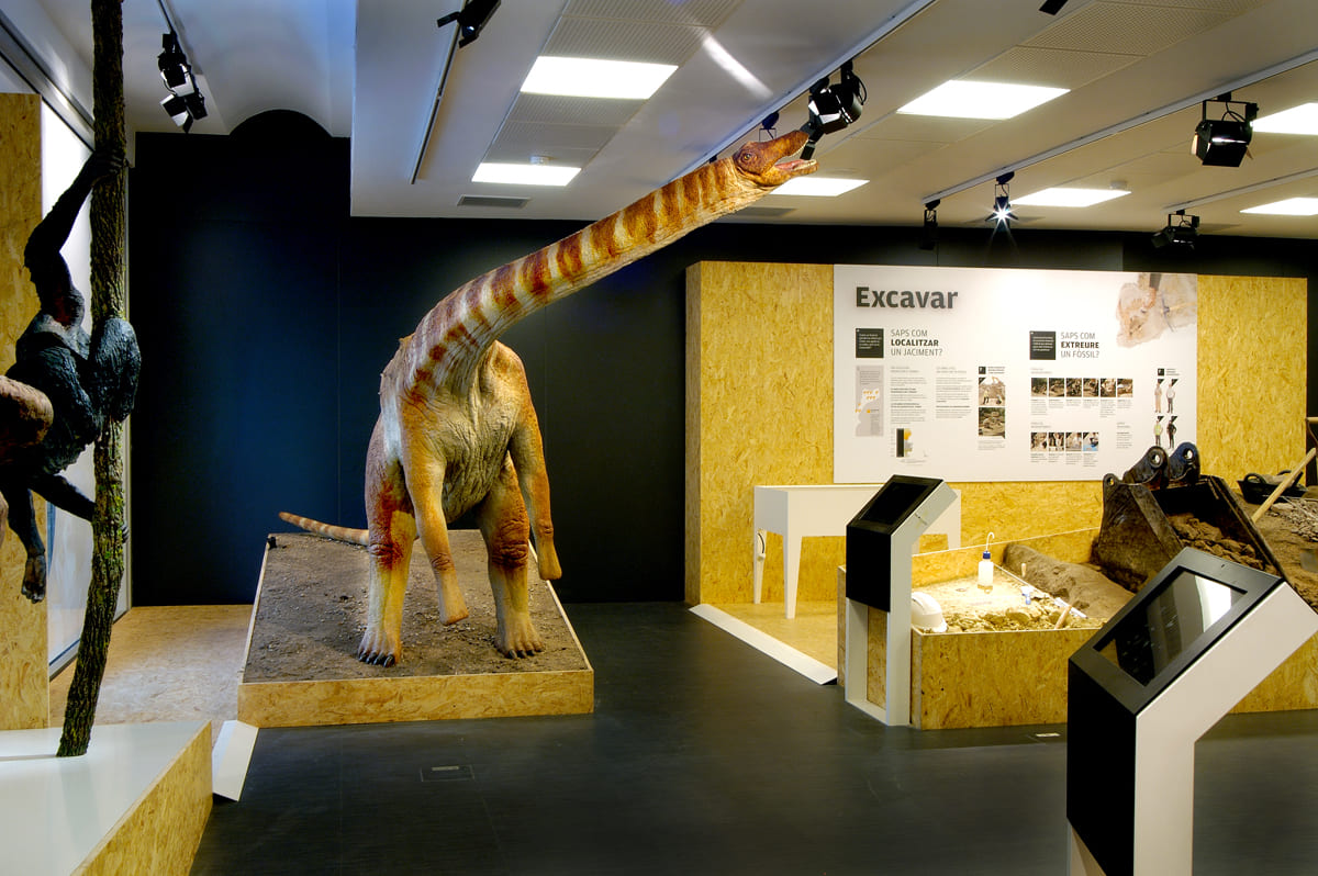 JORNADA DE PORTES OBERTES AL MUSEU DE PALEONTOLOGIA MIQUEL CRUSAFONT 