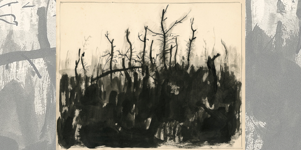 Fotografia de l'activitat